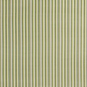 1404 Delray Stripe Kiwi Fabric (Grade B)-0