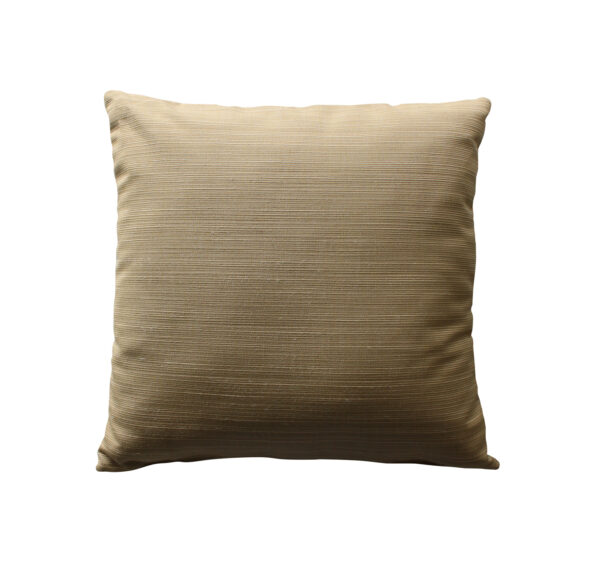 16" Square Throw Pillow-570