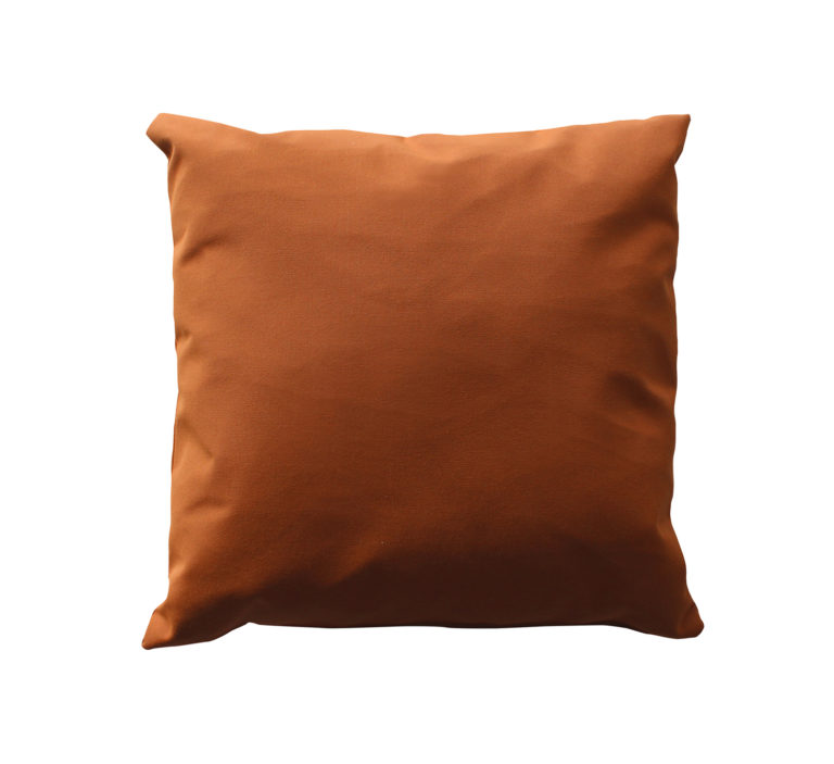 16" Square Throw Pillow-572