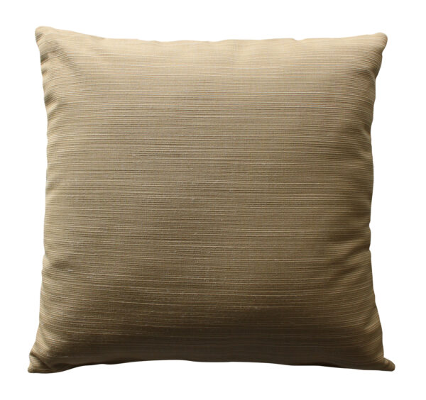 20" Square Throw Pillow-560