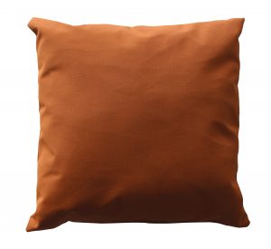 20" Square Throw Pillow-561